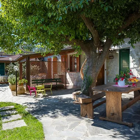 Appartamento Giglio - Vlo205 By Interhome Lecchiore